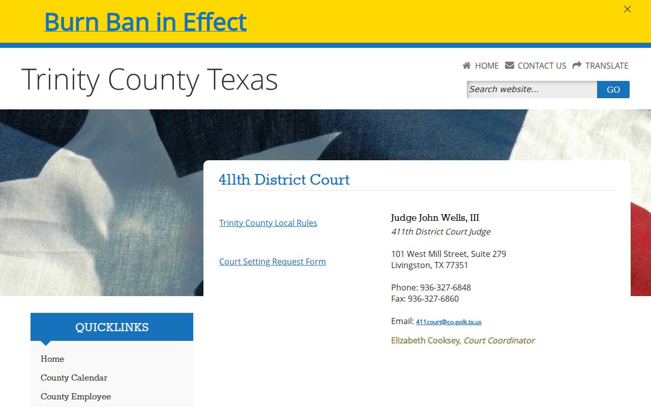 Trinity County 411th Judicial District Court page with regional court information